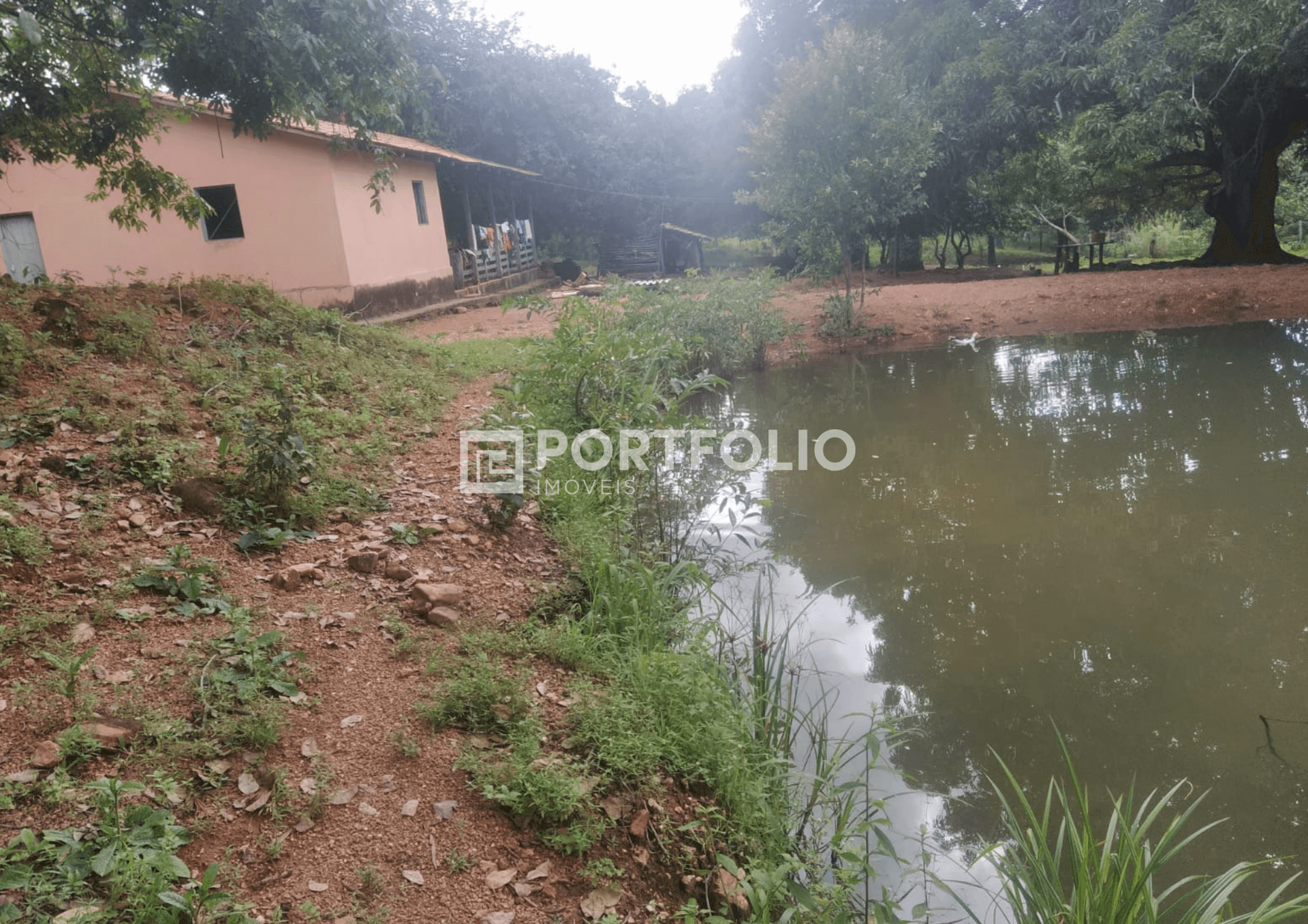 Fazenda à venda com 55 alqueires em Trombas, Goiás, GO