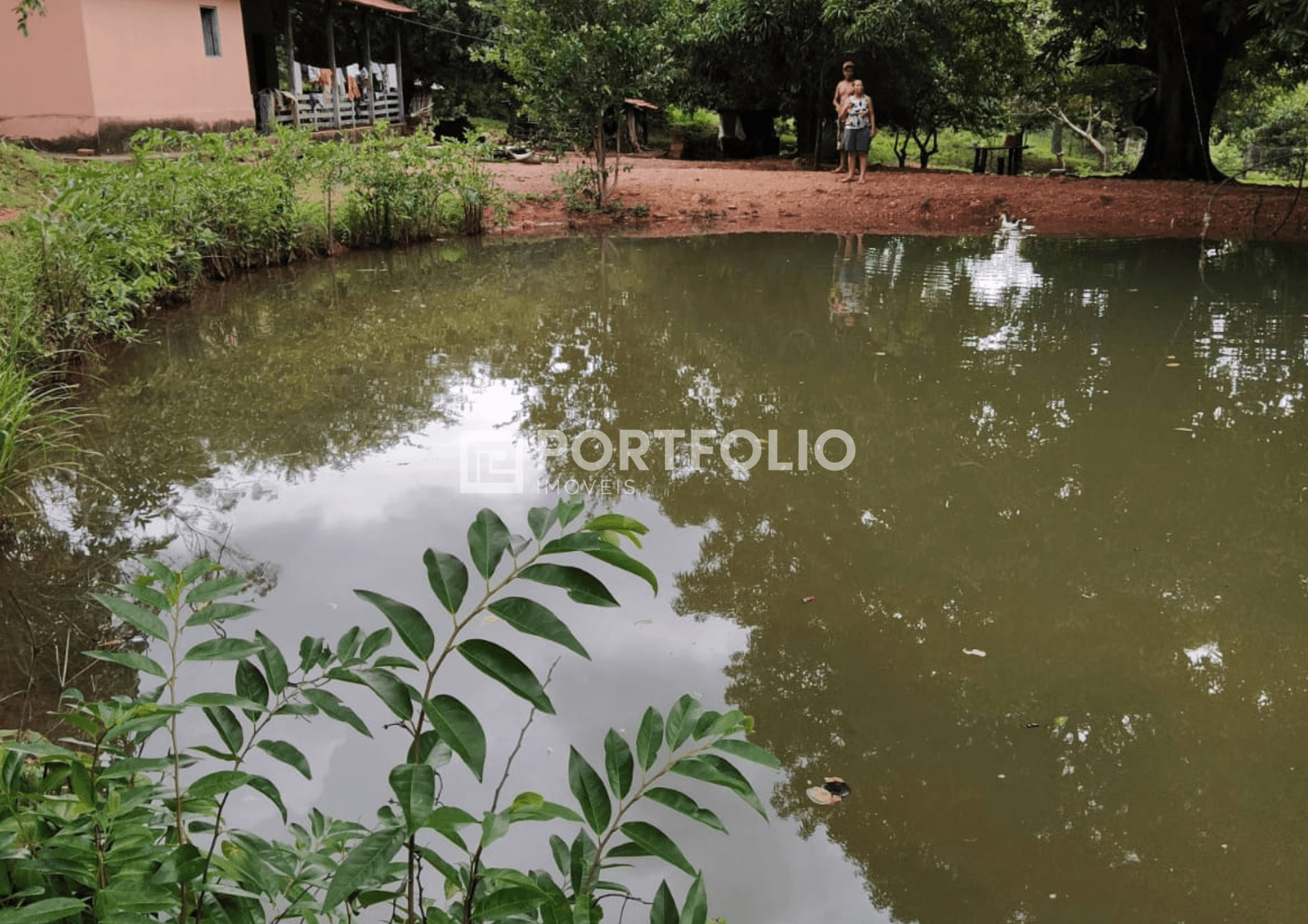 Fazenda à venda com 55 alqueires em Trombas, Goiás, GO