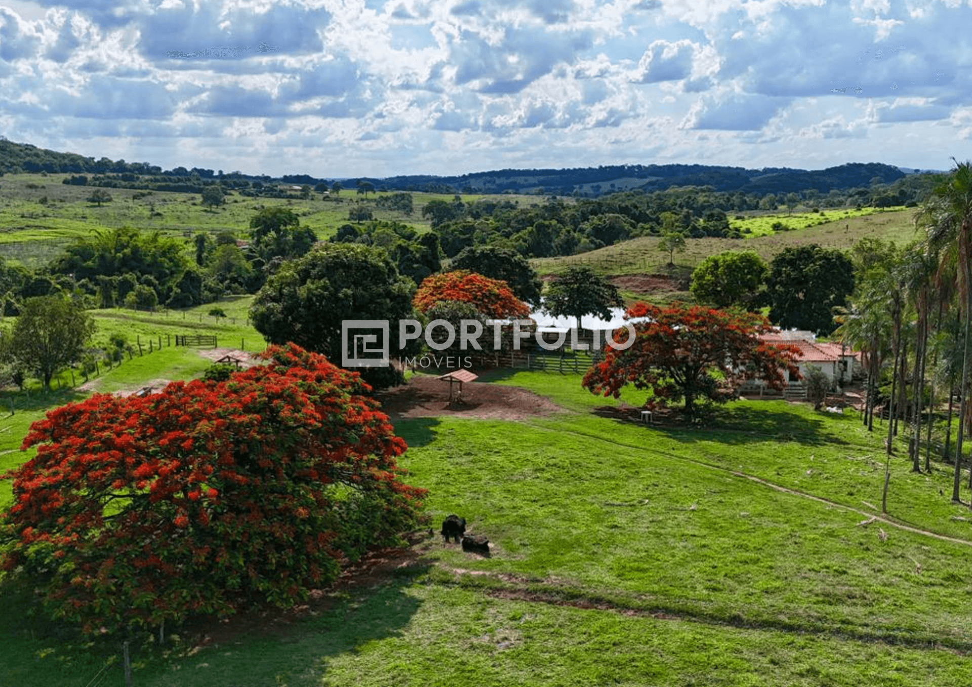 Fazenda à venda com 39 alqueires em Professor Jamil, GO