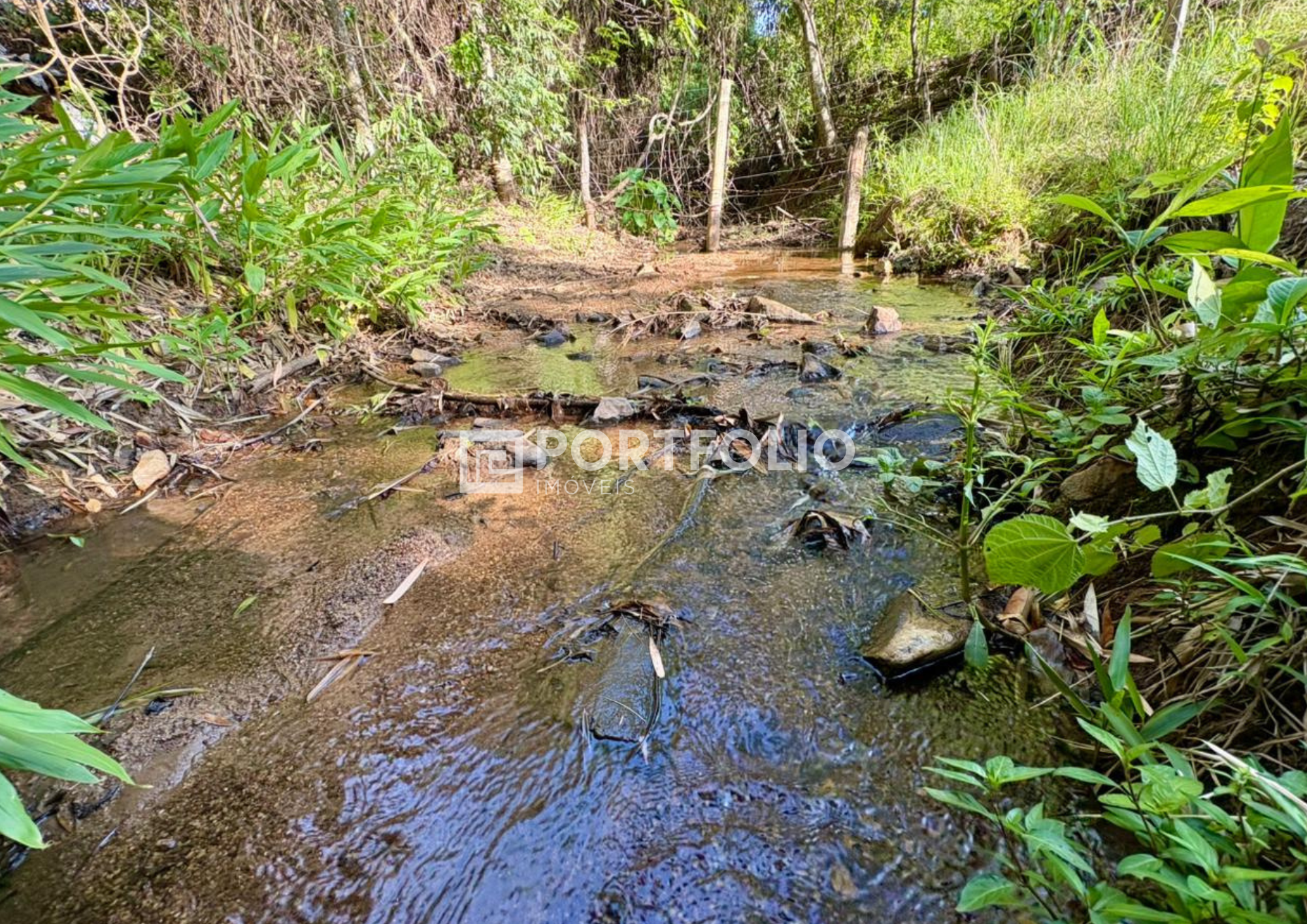 Fazenda à venda com 39 alqueires em Professor Jamil, GO